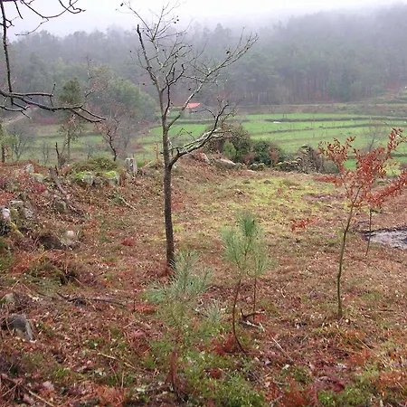 Quinta Porto Dos Lobos