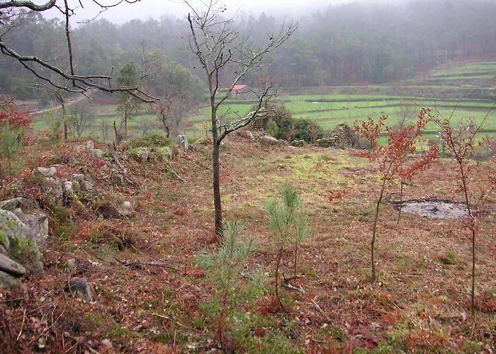 Quinta Porto Dos Lobos